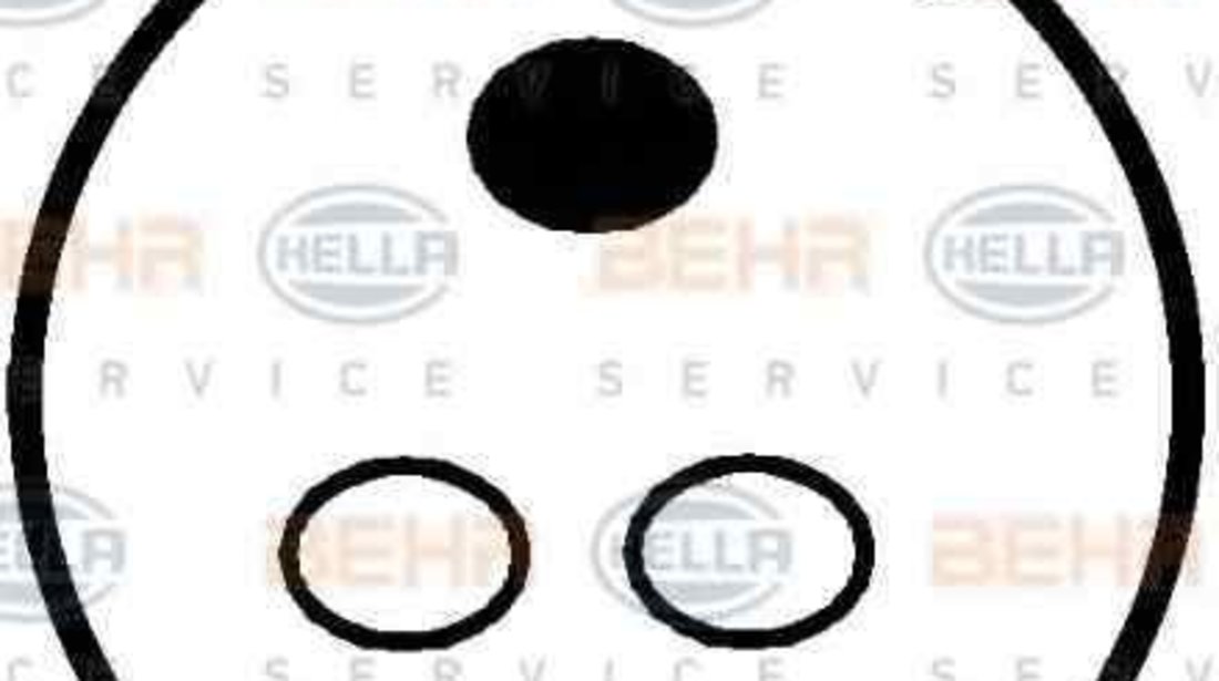 Compresor, climatizare BMW 3 (E36) HELLA 8FK 351 110-591