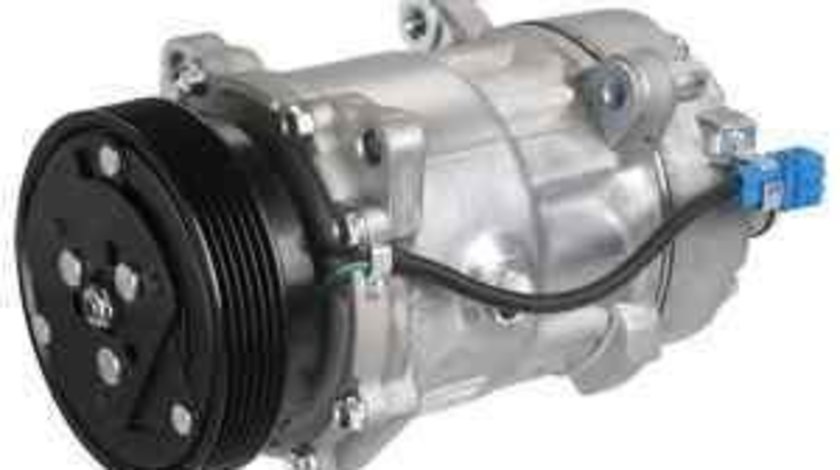 Compresor, climatizare VW GOLF III (1H1) DELPHI TSP0159058