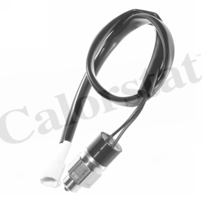 Comutator, lampa marsarier (RS5556 CALORSTAT by Vernet) SUZUKI