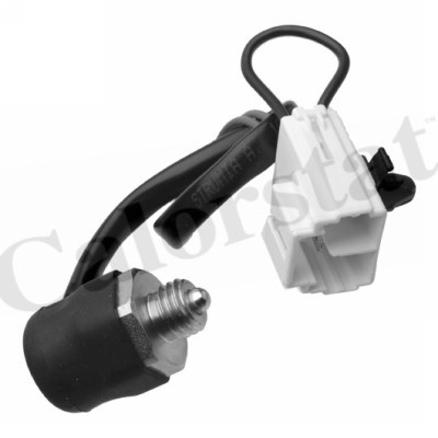 Comutator, lampa marsarier (RS5596 CALORSTAT by Vernet) MAZDA