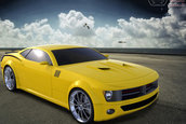Concept Chrysler Barracuda