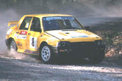 Concepte Dacia