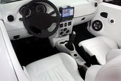 Concepte Dacia
