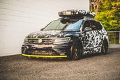 Concepte noi de la Volkswagen