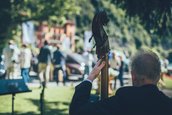 Concorso d’Eleganza Villa d’Este 2016