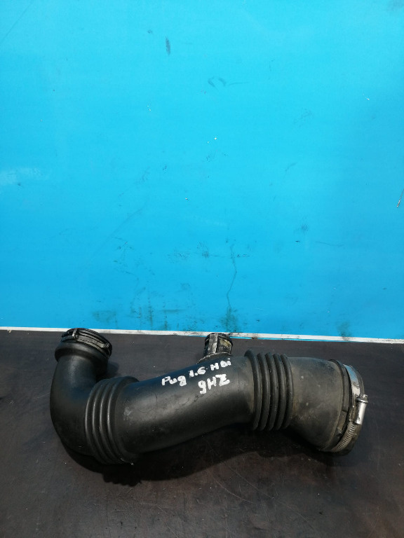 Conducta admisie Peugeot / Citroen 1.6 HDI 9687883680