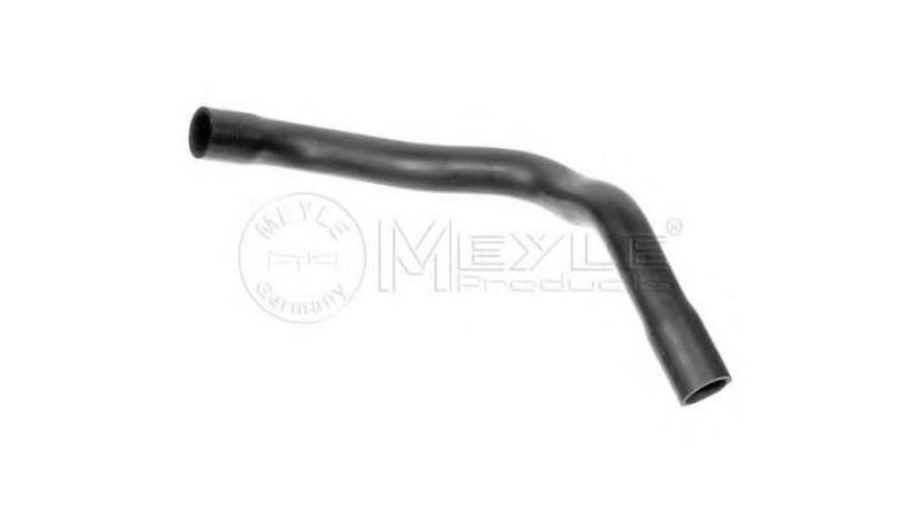 conducta apa MINI MINI (R50, R53) 2001-2006 #2 17127515501