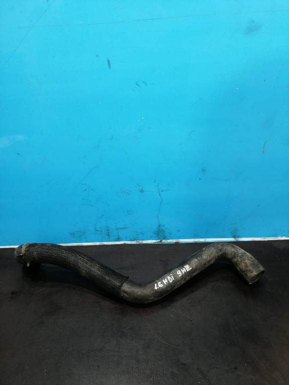 Conducta apa Peugeot / Citroen 1.6 HDI 9HZ / 9HY 110 CP
