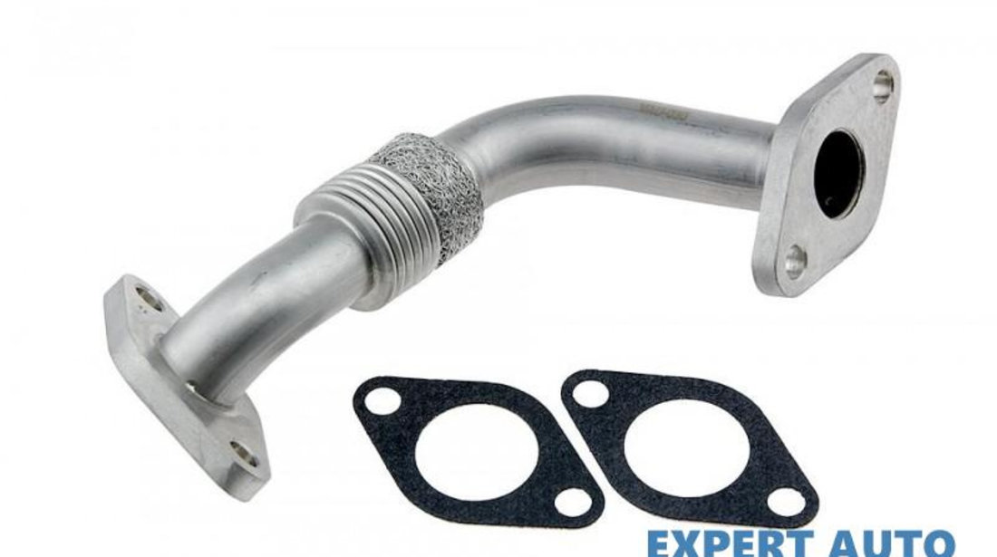 Conducta egr Volkswagen Passat B5(1996-2005) #1 038131521AJ