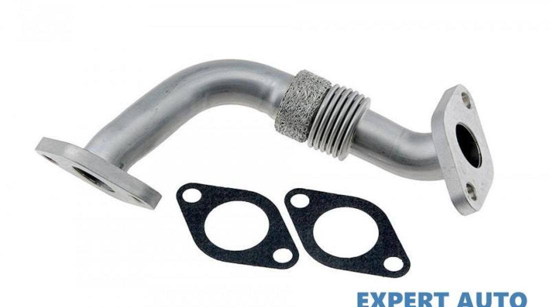 Conducta egr Volkswagen Passat B5(1996-2005) #1 038131521AJ