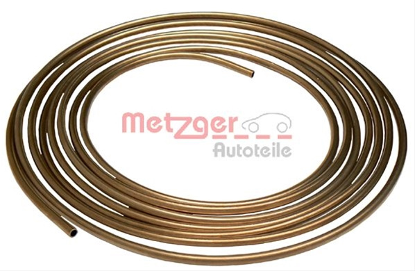Conducta Frana Metzger 1950