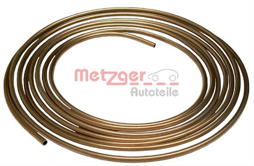 Conducta Frana Metzger 1950