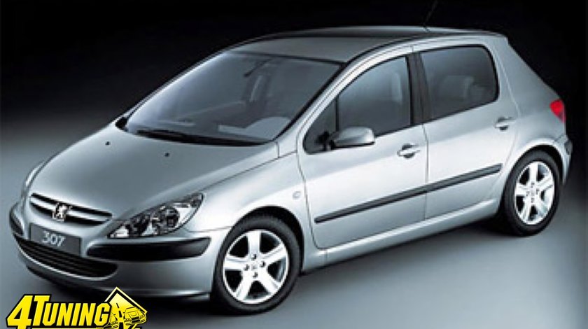 Consola centrala Peugeot 307 2 0 HDI an 2004