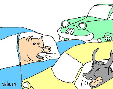Constatarea amiabila de accident de la 1 iulie + formularul si instructiunile de completare Constatarea amiabila de accident de la 1 iulie + formularul si instructiunile de completare