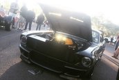 Corrupt Mustang