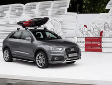 Cort Audi Q3