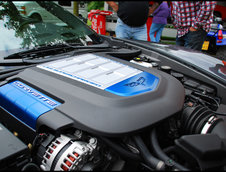 Corvette Fame Meeting 2009