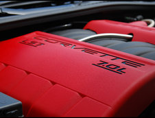 Corvette Fame Meeting 2009