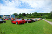 Corvette Fame Meeting 2009