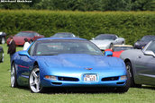 Corvette Fame Meeting 2009