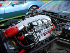 Corvette Fame Meeting 2009