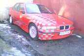 cosminonel@yahoo.com