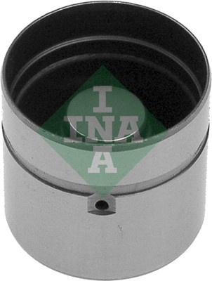 Culbutor supapa Partea de evacuare (420003510 INA) FORD