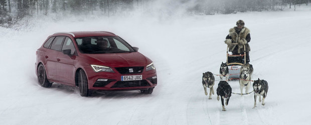 Cum s-au descurcat cei 300 de cai ai lui Leon Cupra ST impotriva a 6 Husky?