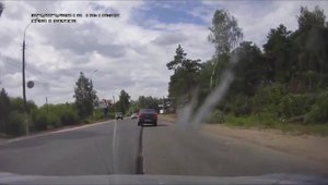 Cum sa tai un copac in Rusia