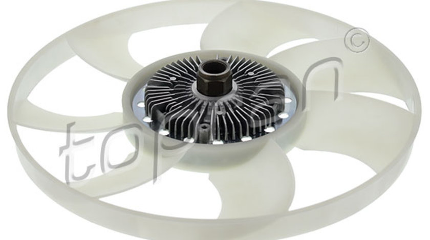 Cupla, ventilator radiator (304376 HAN) FORD
