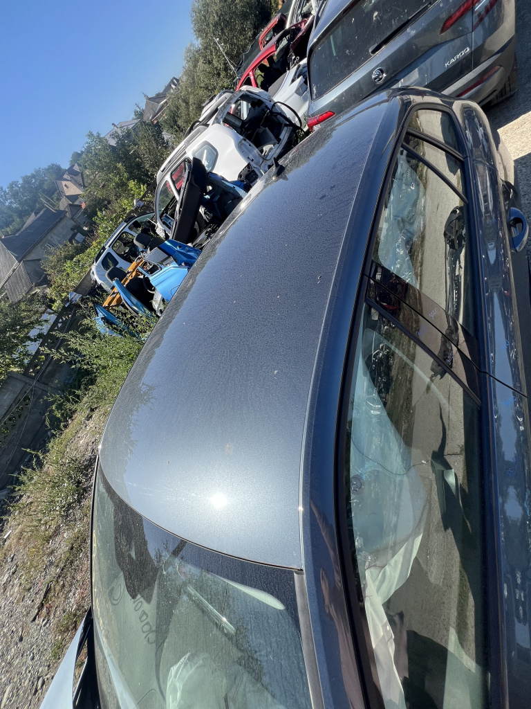 Cupola completa Skoda Scala 1.5 2020