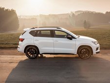 Cupra Ateca de la ABT