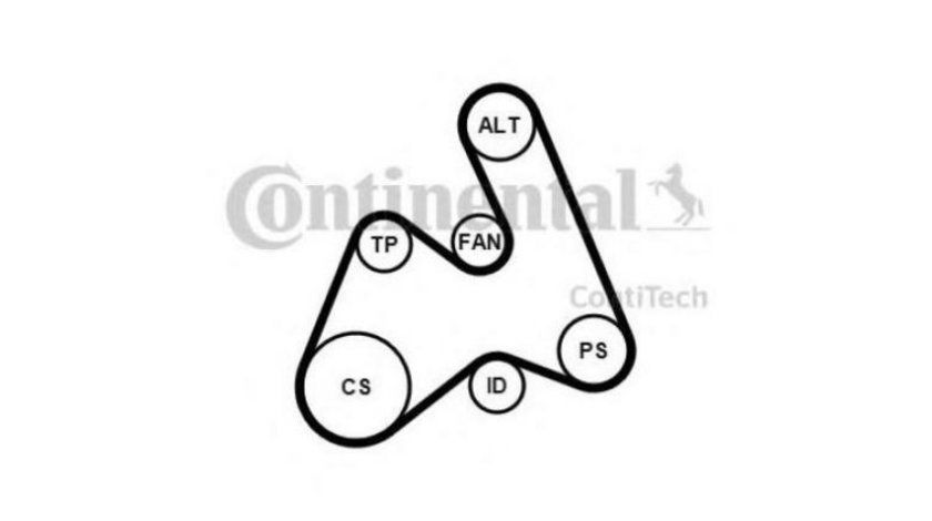 Curea alternator Audi AUDI A6 Avant (4B5, C5) 1997-2005 #2 5PK1592K1