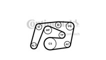 Curea alternator Mercedes C-CLASS T-Model (S203) 2...