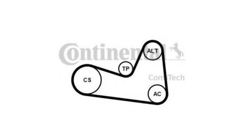 Curea alternator Renault FLUENCE (L30_) 2010-2016 #2 117203694R