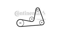 Curea alternator Renault SYMBOL I (LB0/1/2_) 1998-...