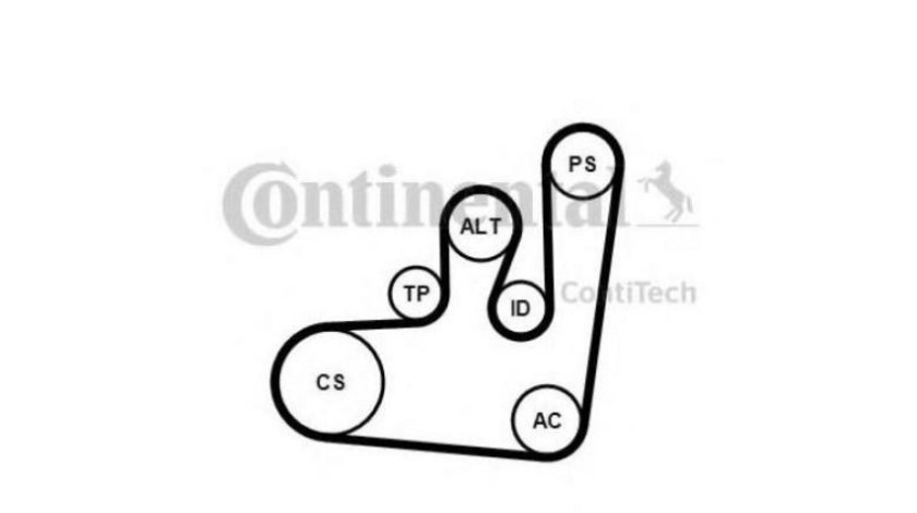 Curea alternator Seat SEAT CORDOBA (6K1, 6K2) 1993-1999 #2 6PK1145K1