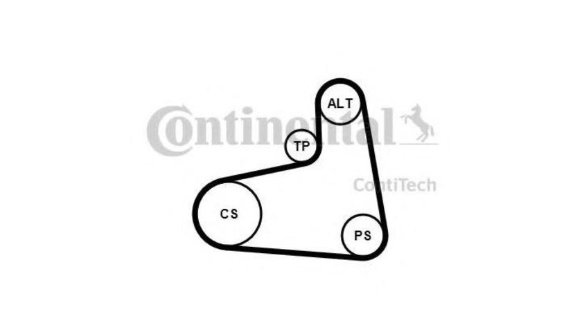 Curea alternator Seat SEAT CORDOBA (6K2) 1999-2002 #2 6PK906K1