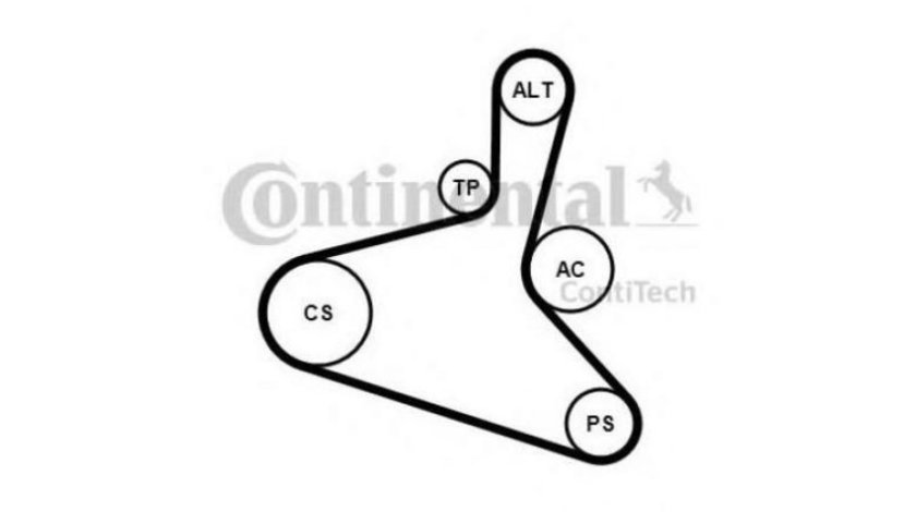 Curea alternator Seat SEAT CORDOBA Vario (6K5) 1999-2002 #2 6DPK1195K1