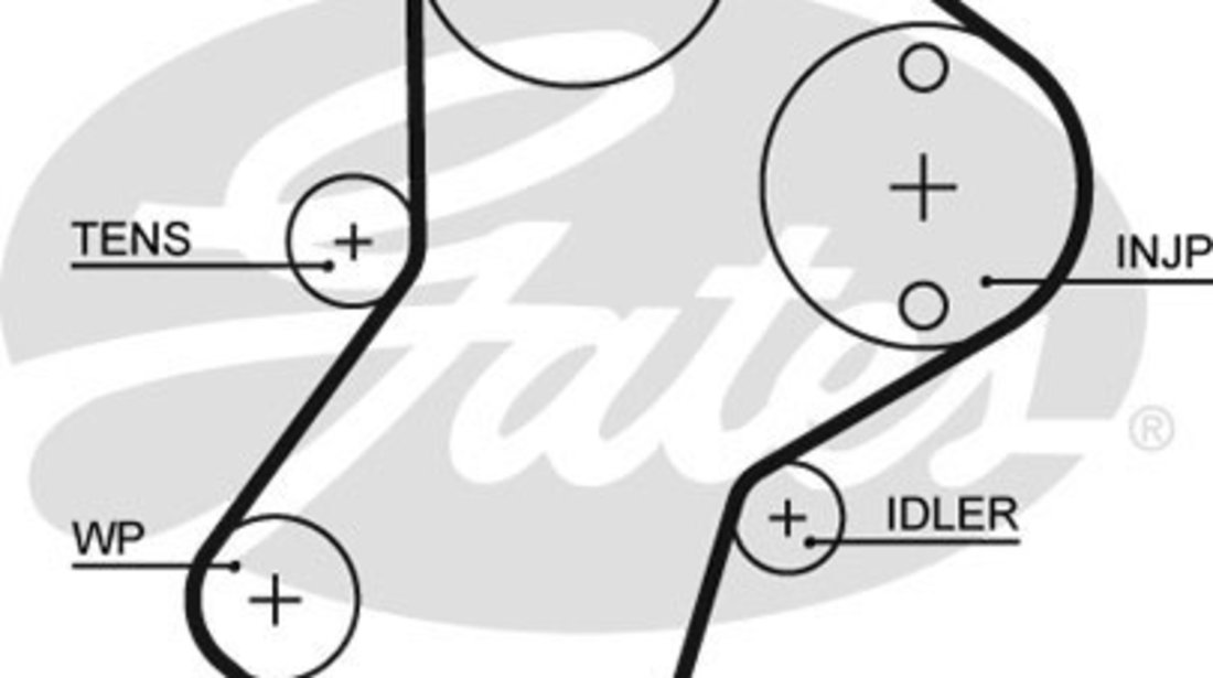 Curea de distributie (5049XS GAT) Citroen,FIAT,FSO,GEO,HYUNDAI,LADA,LDV,PEUGEOT,ROVER,SUZUKI,TALBOT,TATA