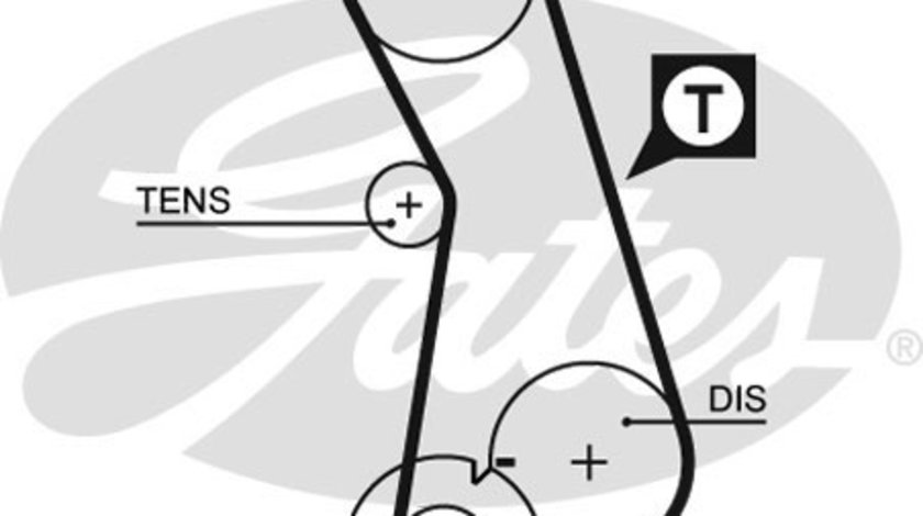 Curea de distributie (5308 GAT) AUDI,SEAT,VW