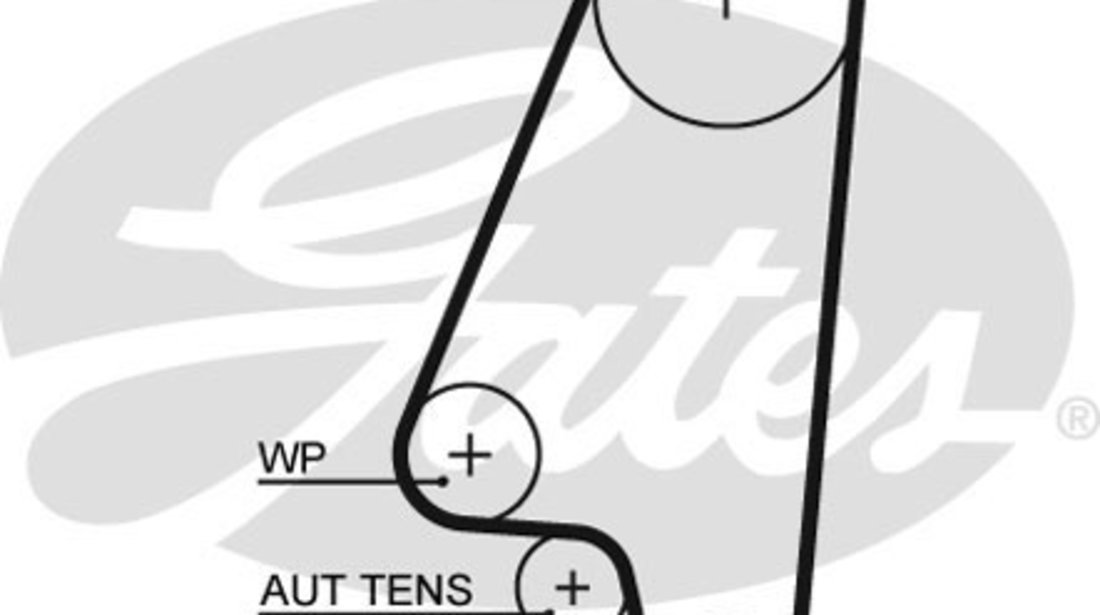 Curea de distributie (5310XS GAT) BEDFORD,CHEVROLET,DAEWOO,FSO,OPEL,UZ-DAEWOO,VAUXHALL,ZAZ