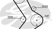 Curea de distributie (5334XS GAT) Citroen,FIAT,IVE...