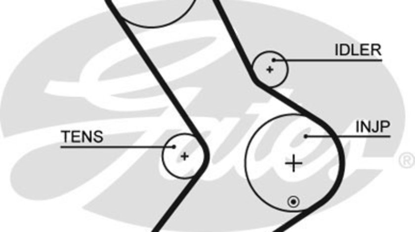 Curea de distributie (5334XS GAT) Citroen,FIAT,IVECO,OPEL,PEUGEOT,RENAULT,RENAULT TRUCKS,SANTANA,VAUXHALL