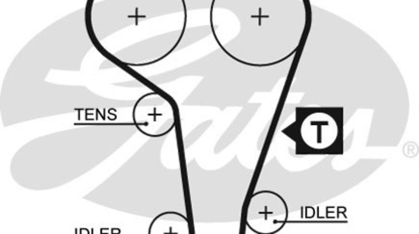 Curea de distributie (5360XS GAT) FORD,FORD USA