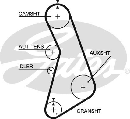 Curea de distributie (5425XS GAT) AUDI,VW