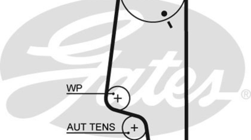 Curea de distributie (5427XS GAT) SEAT,VW