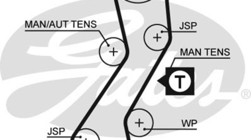 Curea de distributie (5451XS GAT) FORD,MAZDA