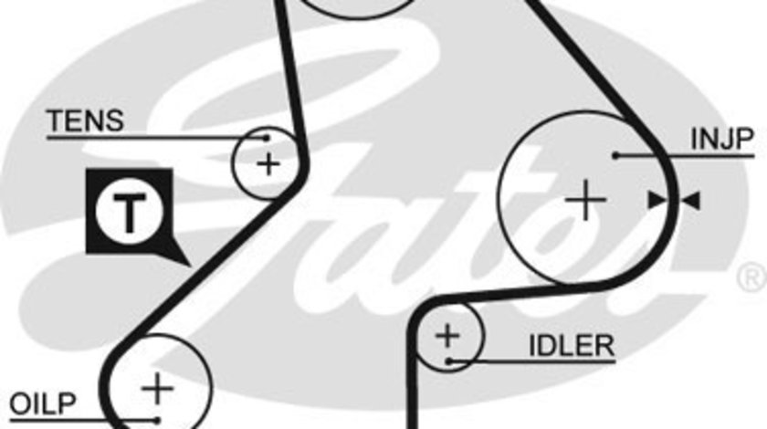 Curea de distributie (5486XS GAT) RENAULT,VOLVO