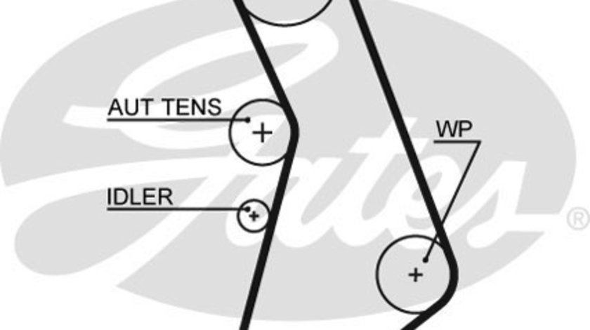 Curea de distributie (5491XS GAT) AUDI,SEAT,SKODA,VW